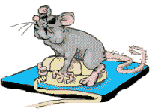 mouse.gif (57028 bytes)